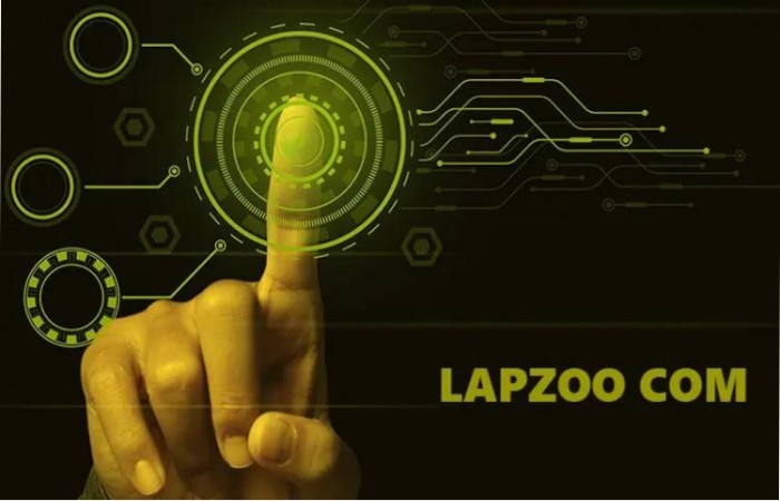 Basic Overview of Lapzoo.com